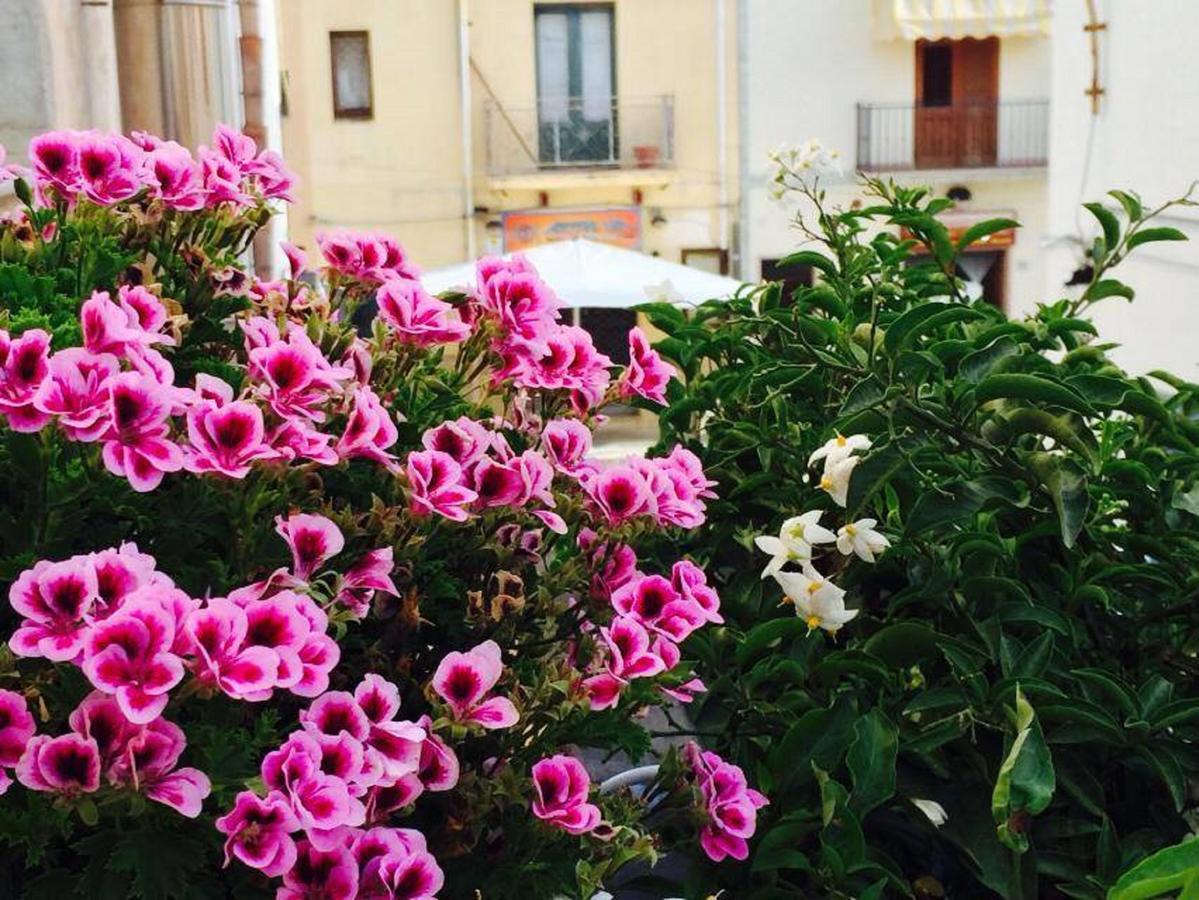Ai Dammusi San Vito Lo Capo